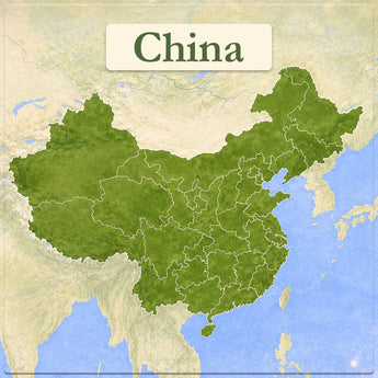 A vintage-style map of China with the country highlighted in green, surrounded by beige landmasses and blue oceans. A cream label at the top reads “China"
