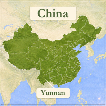 Yunnan Green Tea