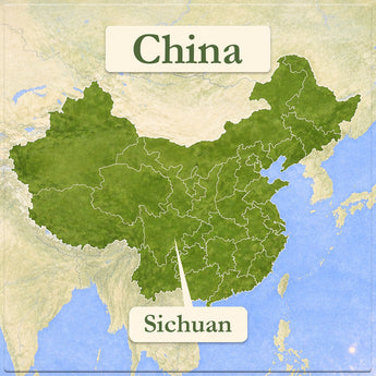 Sichuan Green Tea