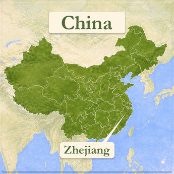 Zhejiang Green Tea