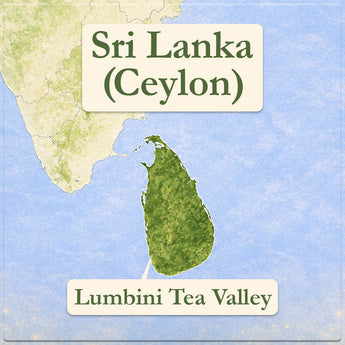 Lumbini Black Tea