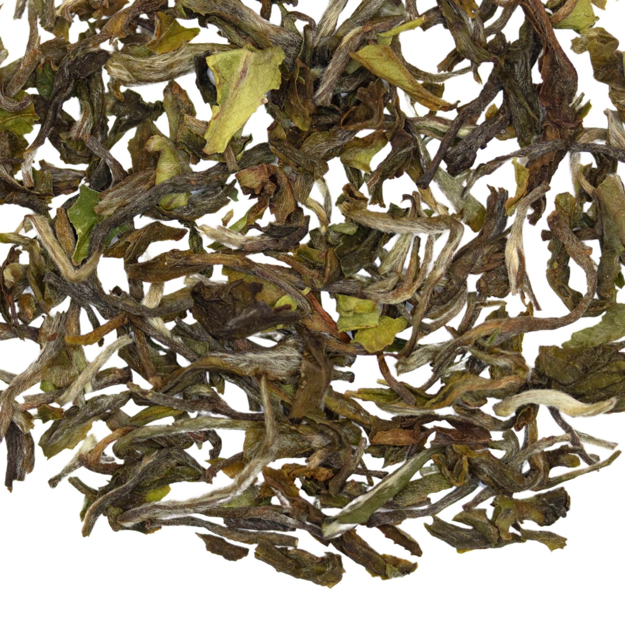 Loose leaf Celestial Monarch Darjeeling 1st Flush black tea