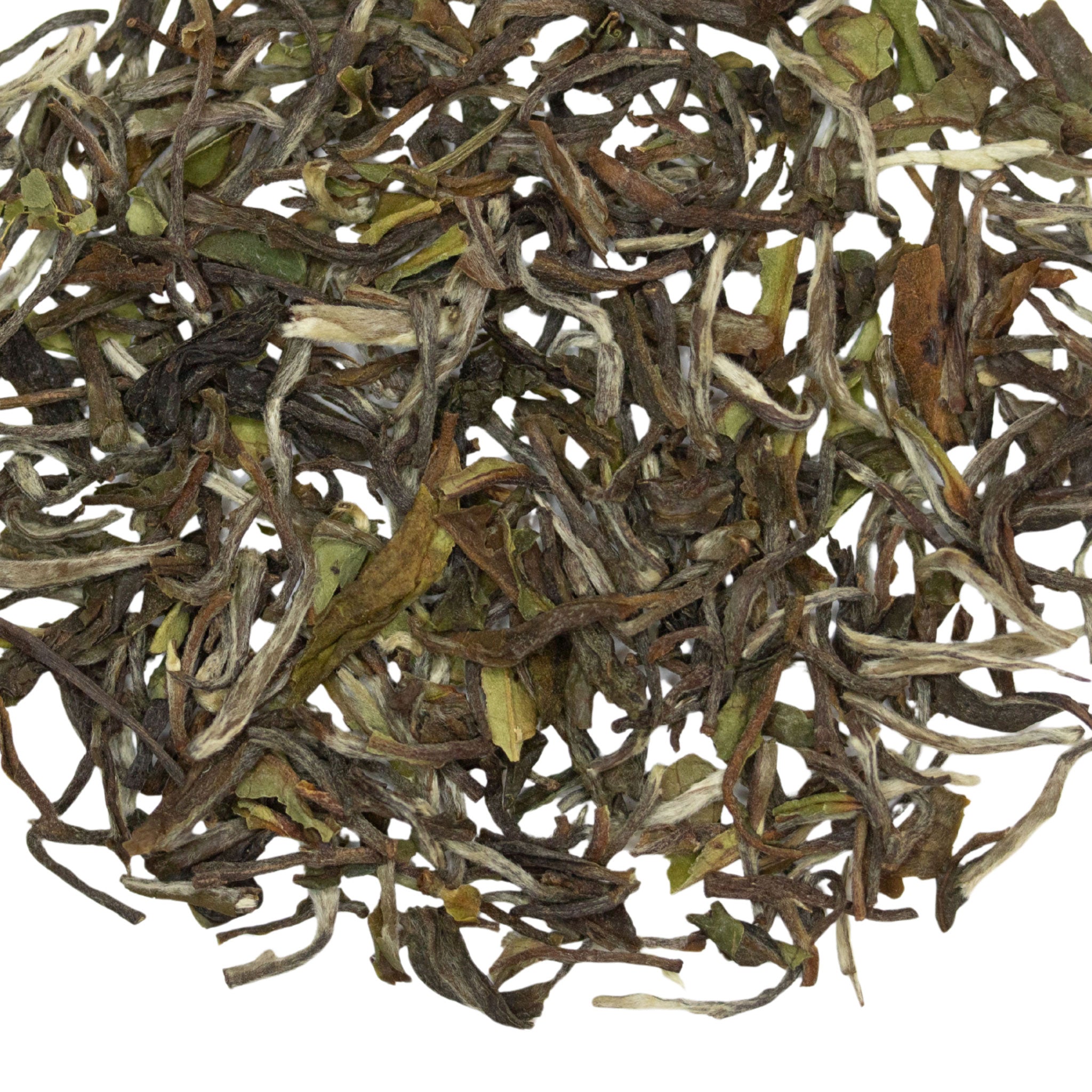 Loose leaf Mangrove Sunbird Darjeeling 1st Flush Indian black tea
