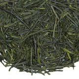 Loose leaf Clearwater Sencha Japanese green tea