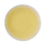 Steeped cup Painter's Canvas Kamairicha Japanese green tea