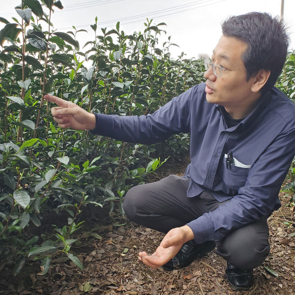 Tea processor Mr. Fumiki Kawaguchi 