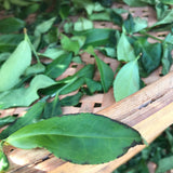 Book of Spells Tieguanyin | Oolong Tea